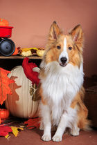 Our very own "Jake from State Farm"