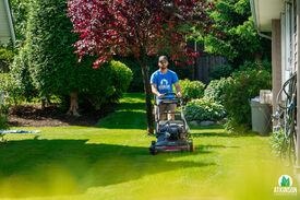 Mowing Lawns in the sun