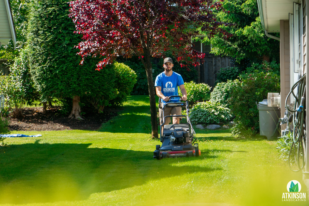 Mowing Lawns in the sun