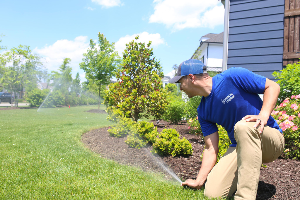Tech on Lawn