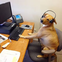 Jordy helping our customers