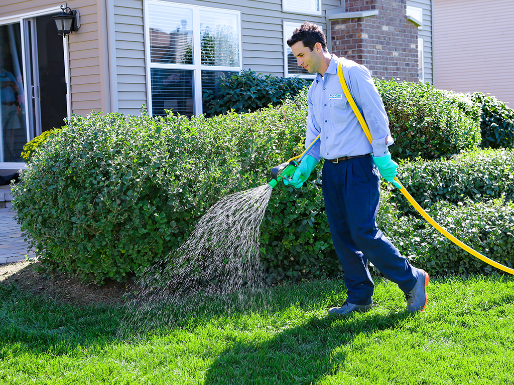 SpringGreen Lawn Care of Wausau, WI