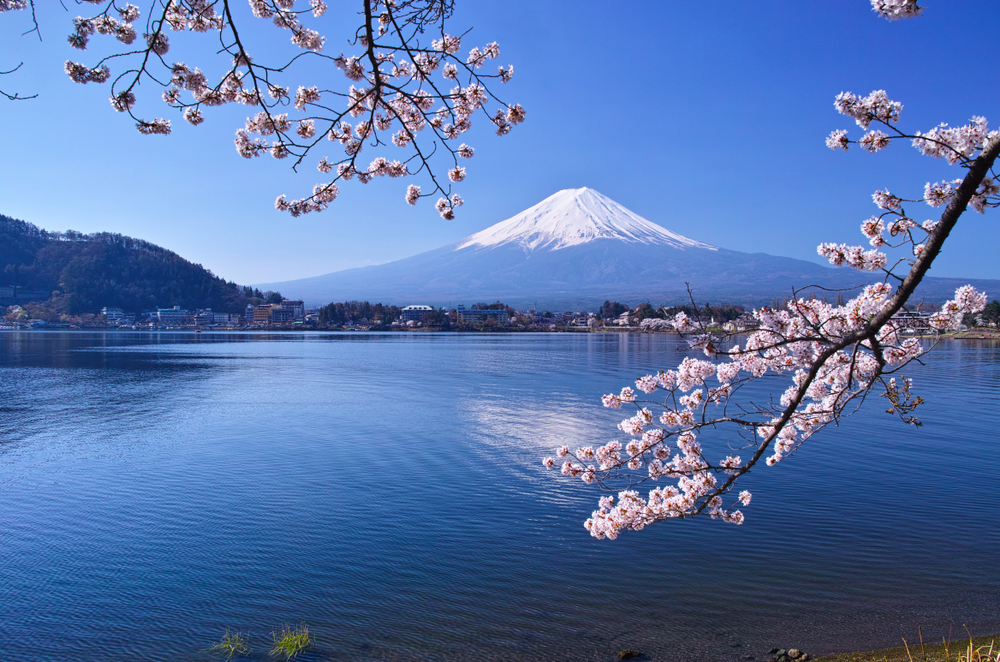 Fuji Foods USA