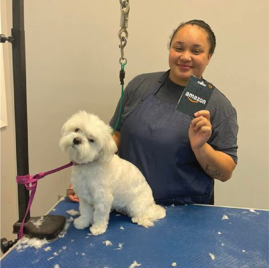Dog Bather Groomer in Training Scenthound Centennial West, CO