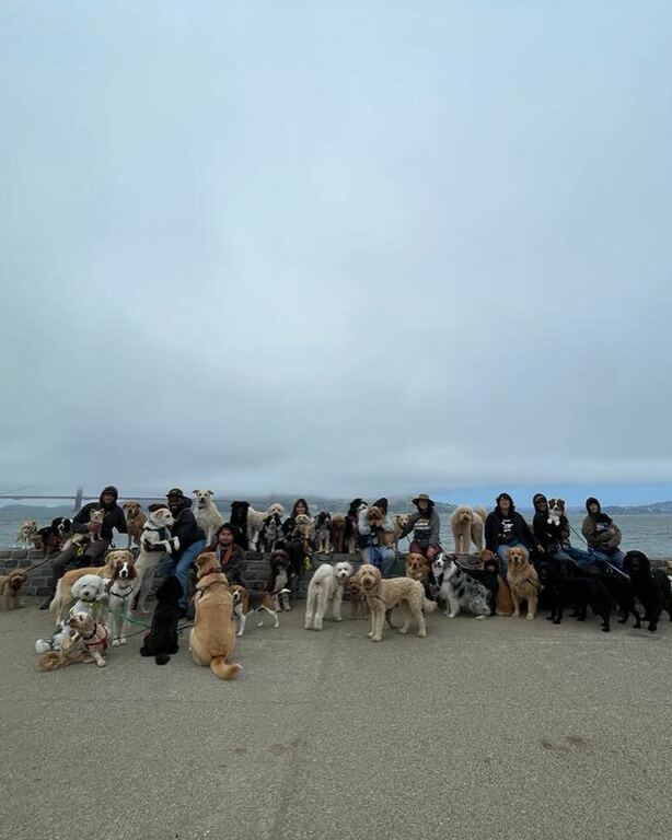 Company photo 1