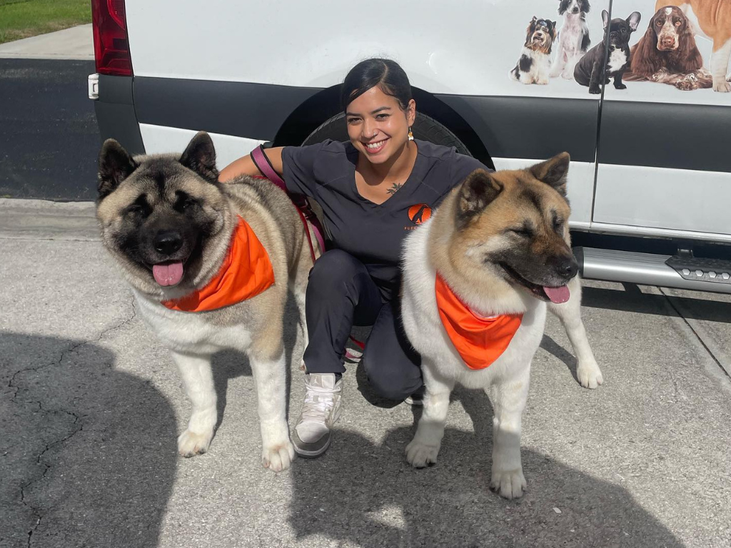 Round Rock/Austin Mobile Pet Groomer Furry Land Austin