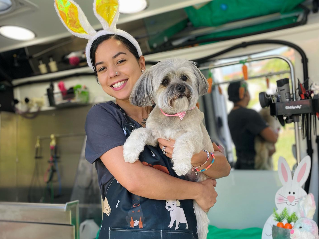 Round Rock/Austin Mobile Pet Groomer Furry Land Austin