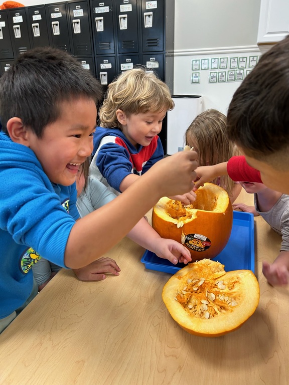 Sensory Experiences are a MUST!