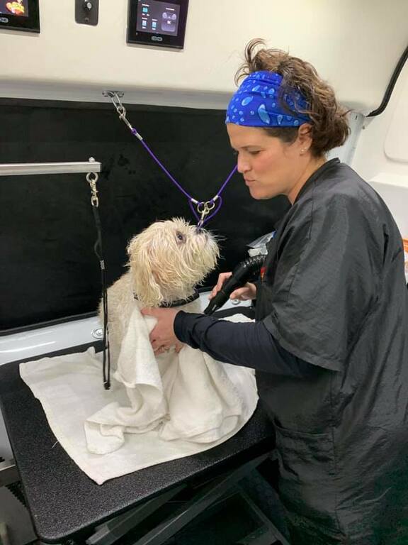 Aussie Pet Mobile Brevard County