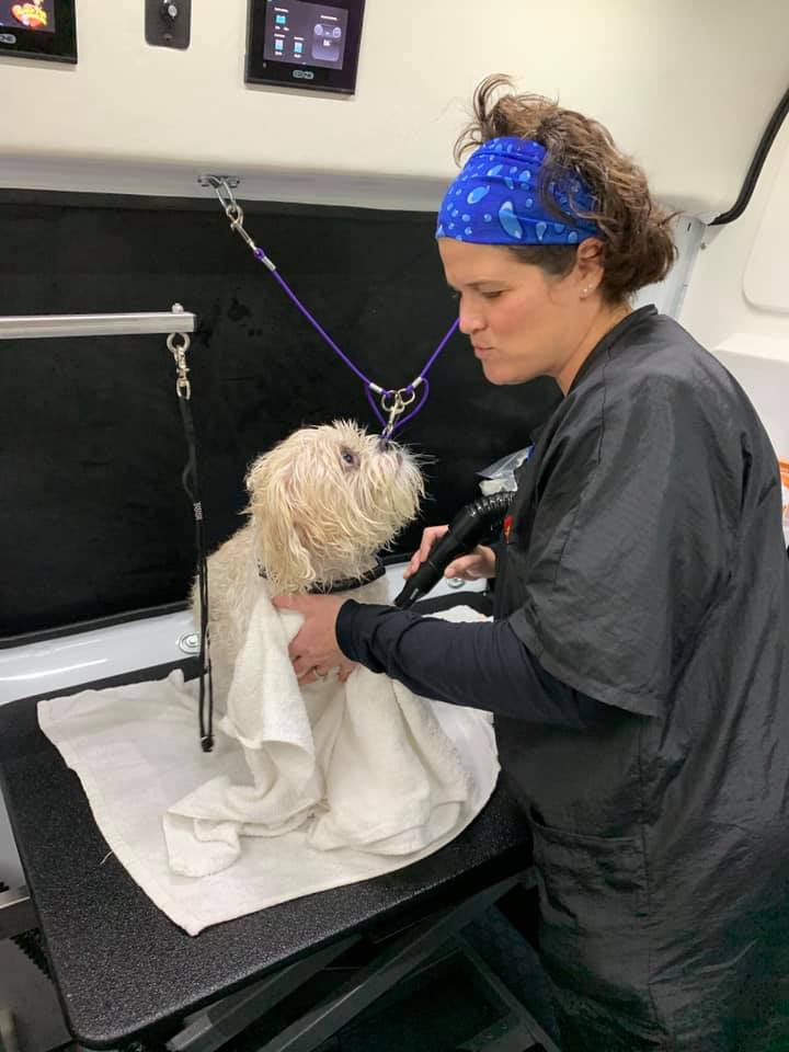 Pet Groomer Aussie Pet Mobile Boise