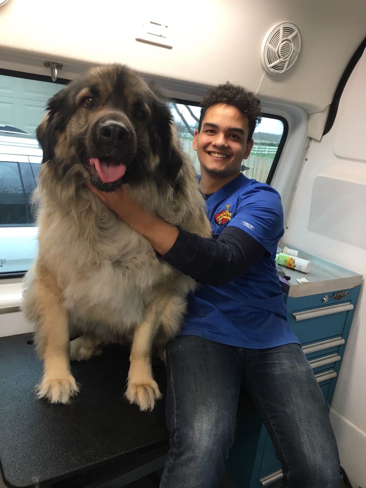 Pet Groomer Aussie Pet Mobile Boise