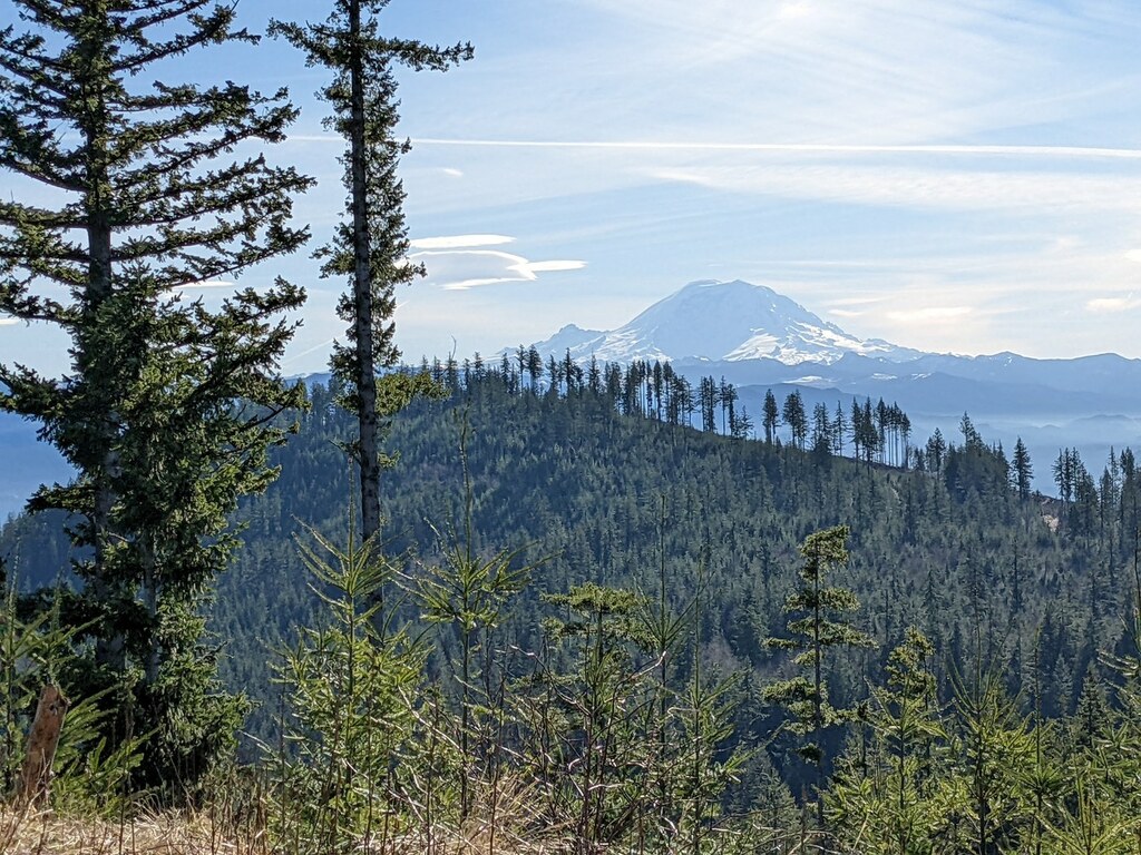 Hiking Tiger Mountain, less than 10 minutes from our office