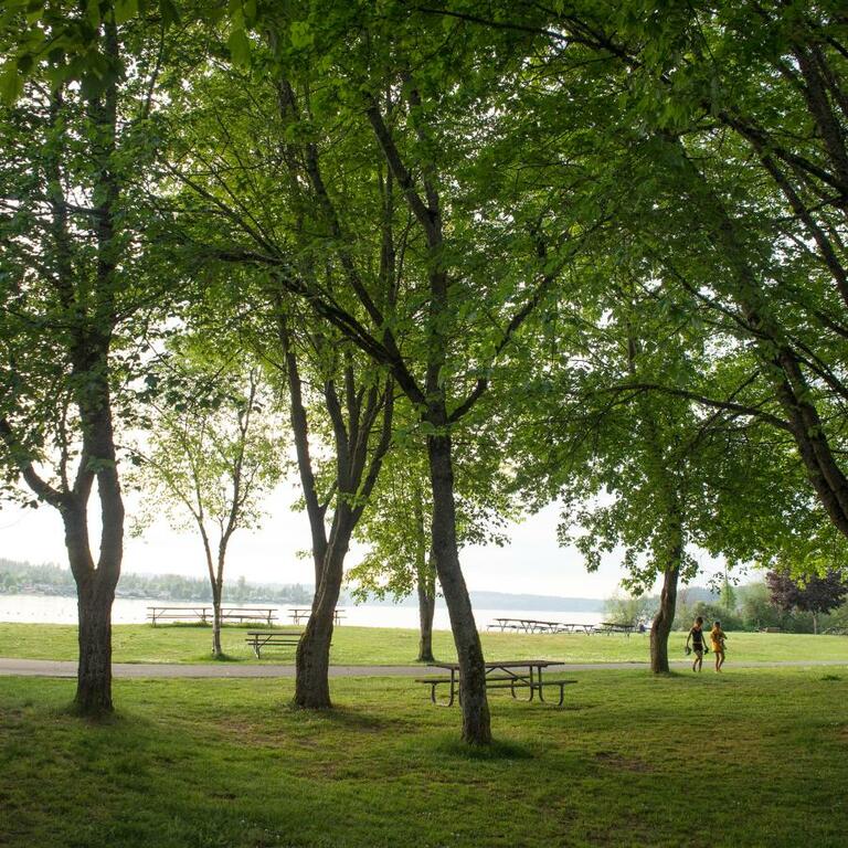 Lake Sammamish State Park