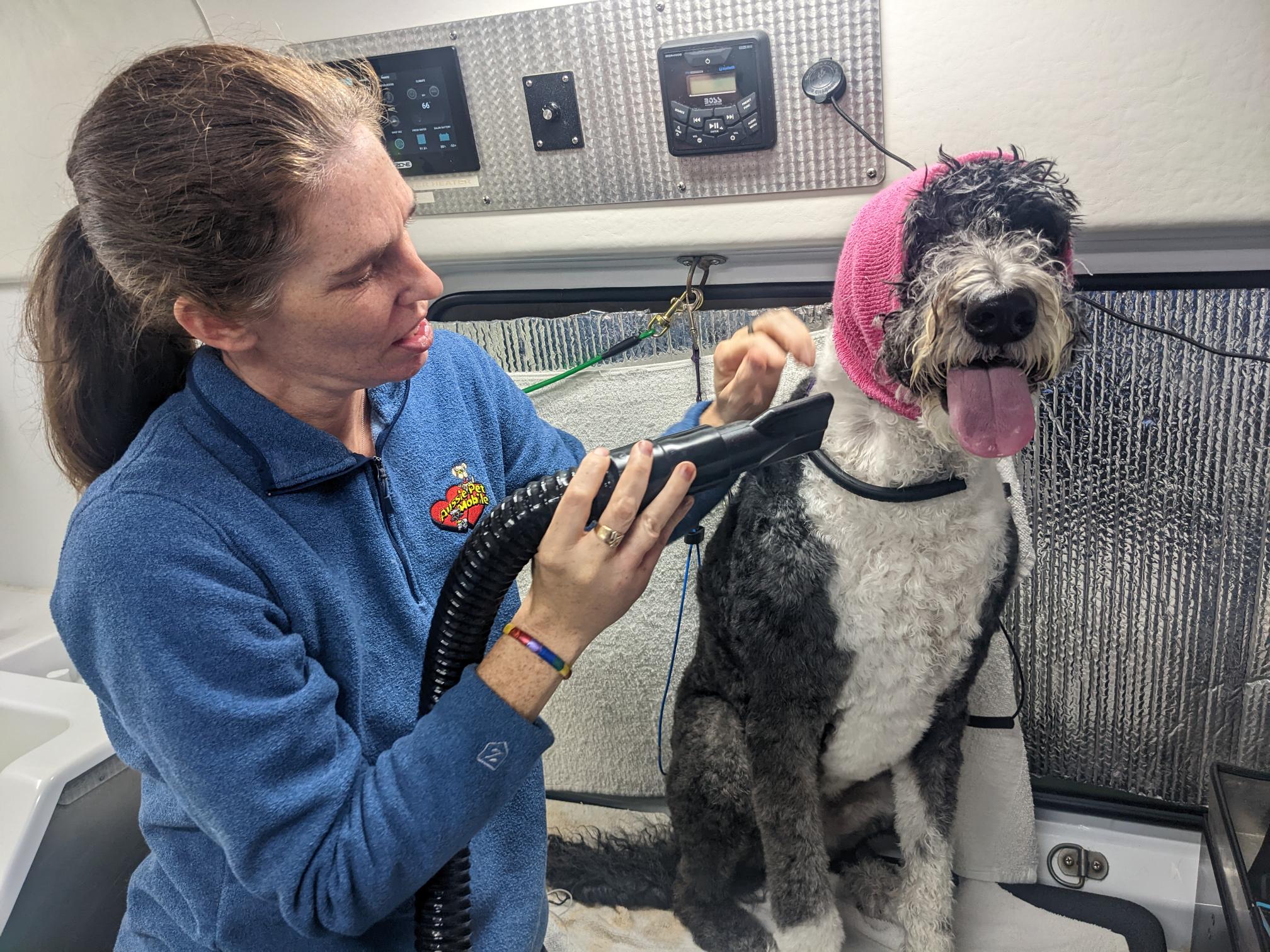 Pet Groomer Trainee Aussie Pet Mobile Westoplex