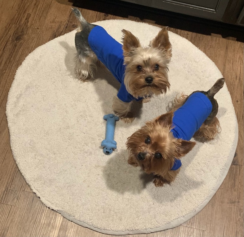 Our office Directors of Happiness