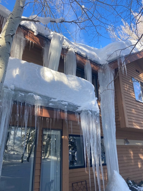 Company photo 3