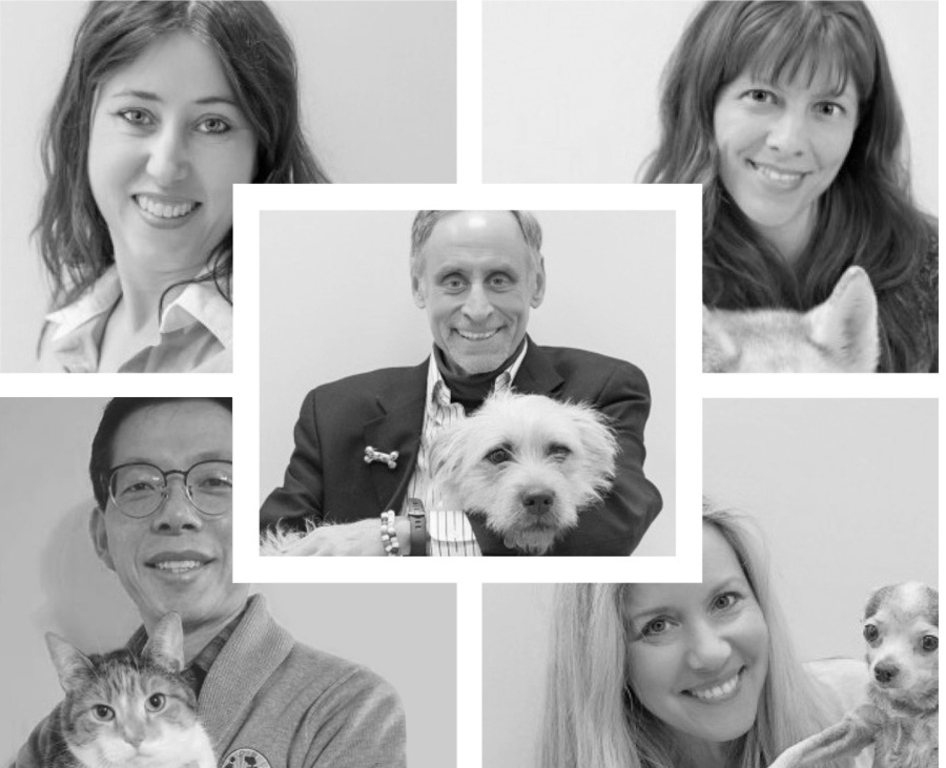 Company photo 1