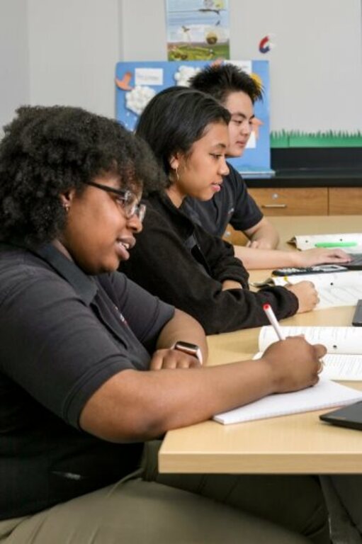 College Board awarded College Park Academy Platinum Recognition for AP School Honor Roll and the AP Access Award