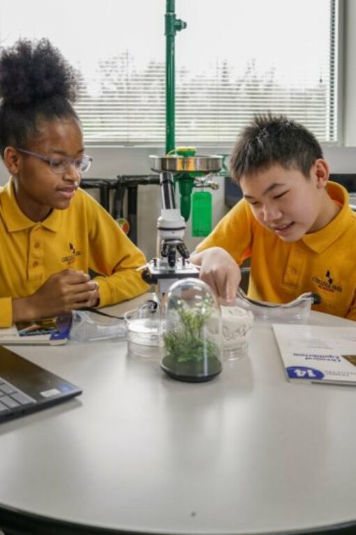 We provide a supportive school environment in which students learn, grow, & thrive. With fewer than 700 students, our intentionally small school allows each student to take advantage of resources and support.