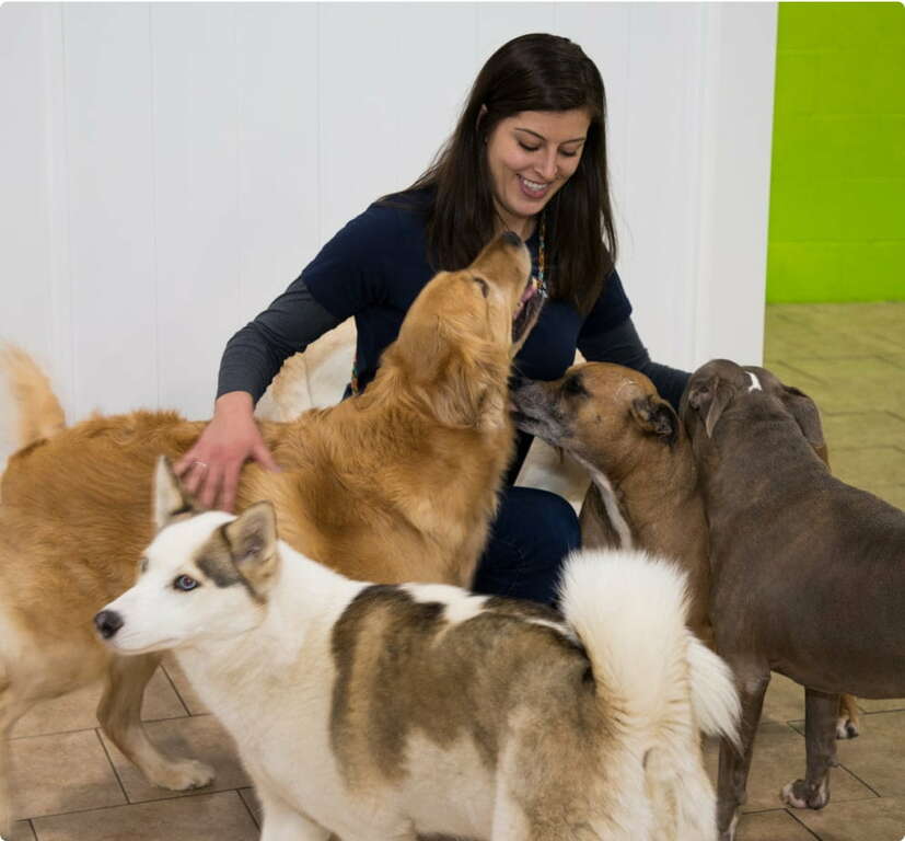 Company photo 2