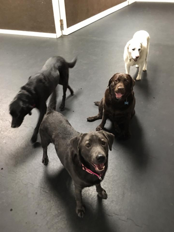 Company photo 2