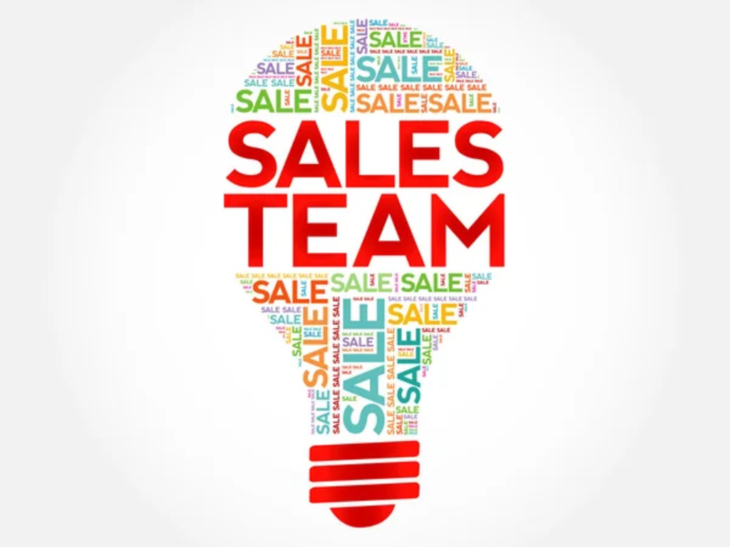 Sales Team Member