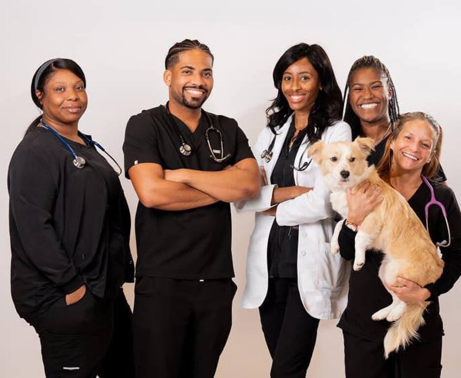 Company photo 1
