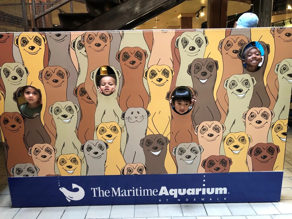 Company photo 1