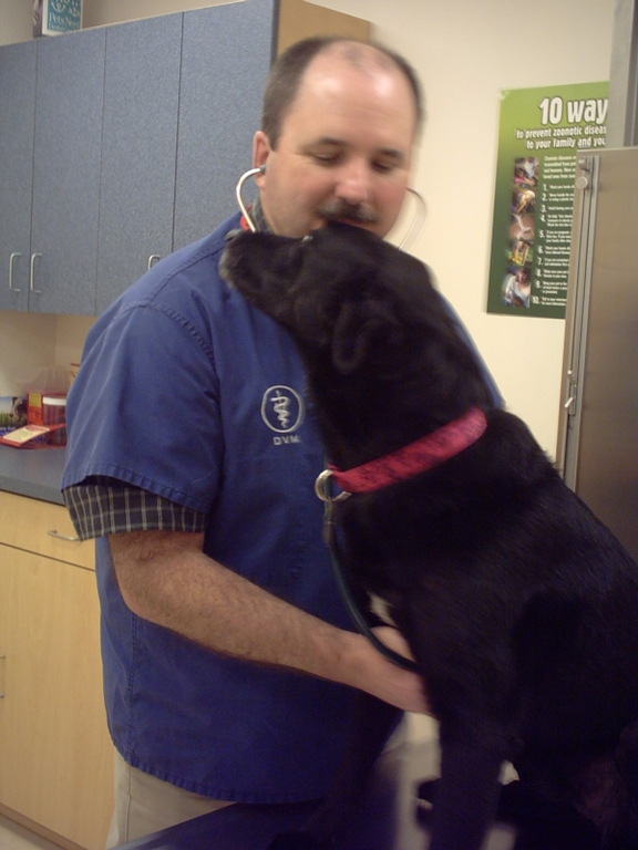 We care about your pets!