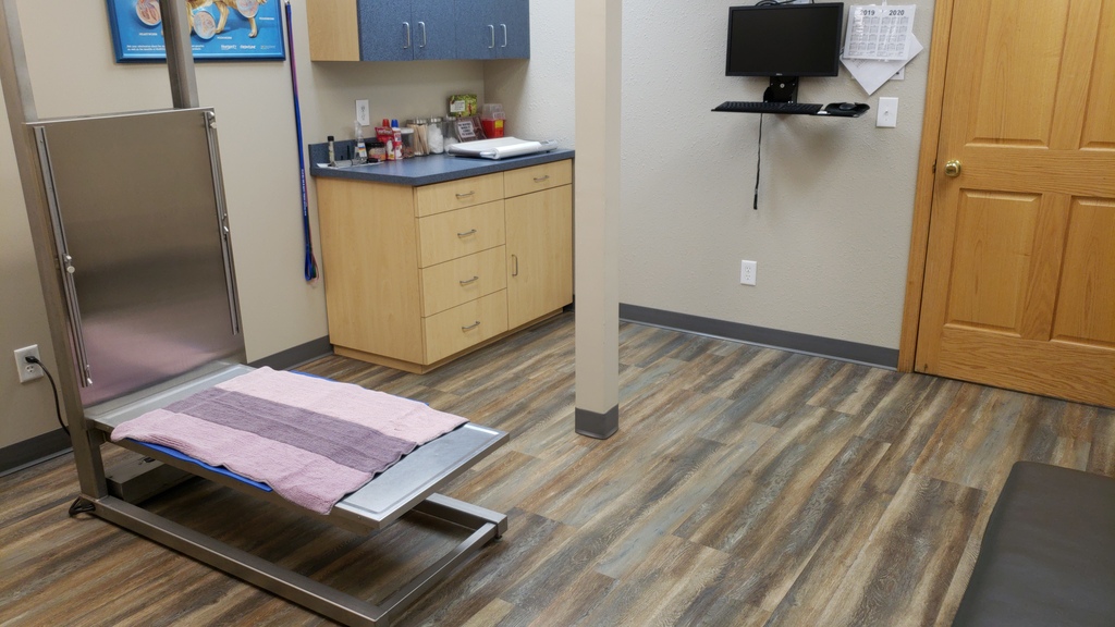 Comfortable big dog exam room.