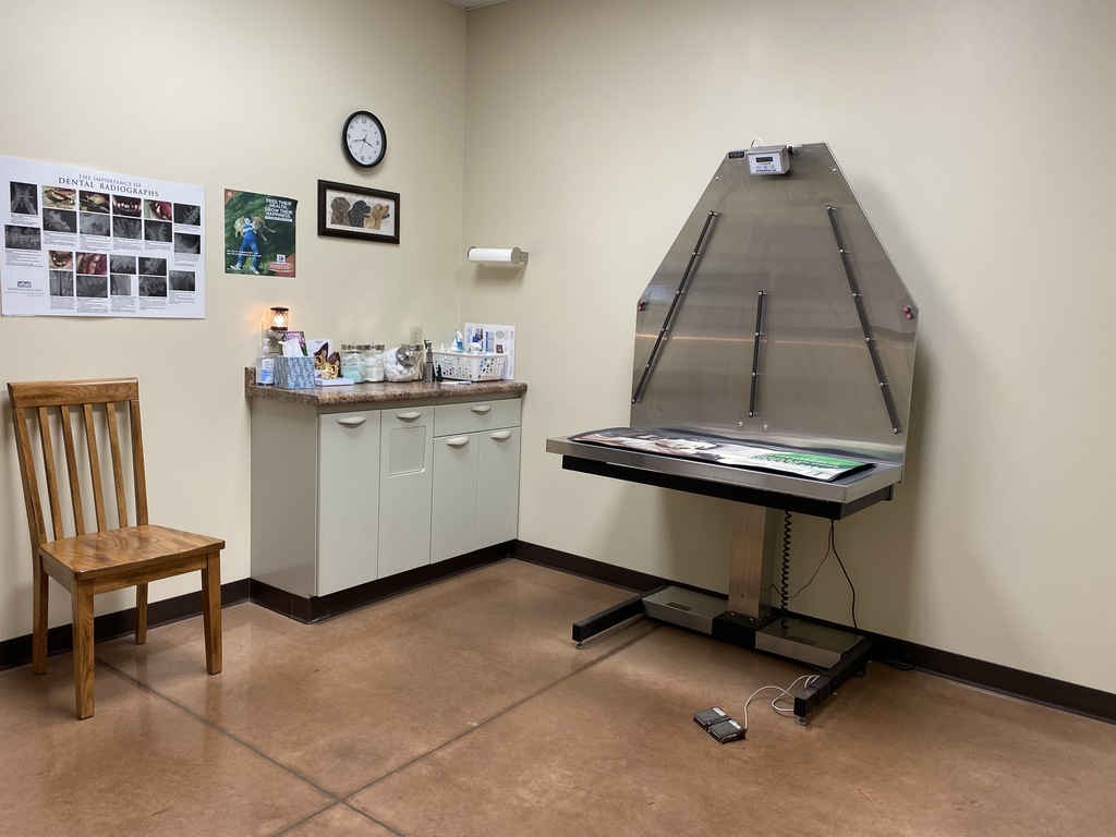 Canine Exam Room