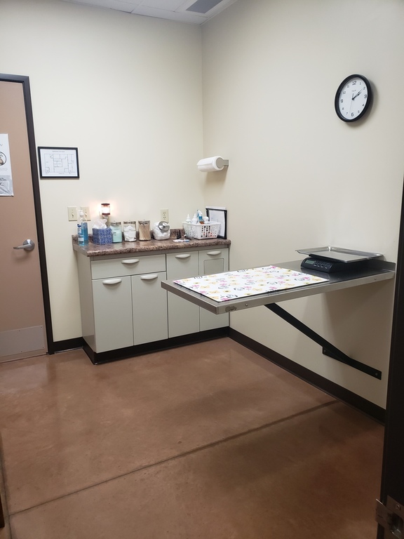 Feline Exam Room