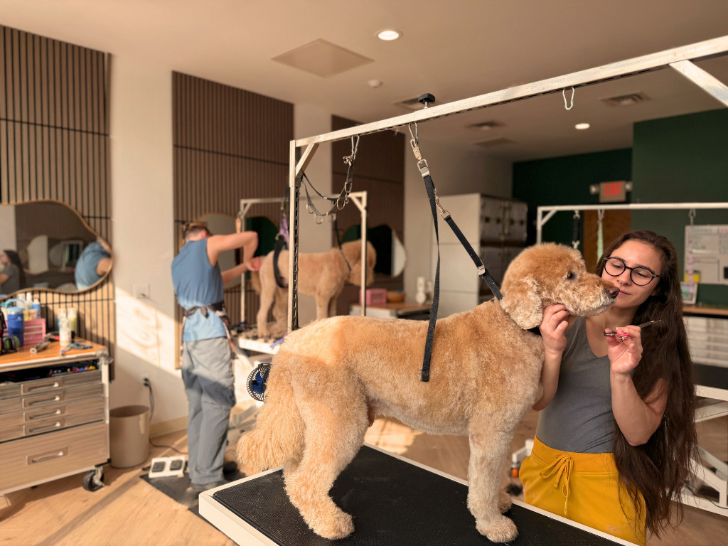 Company photo 11
