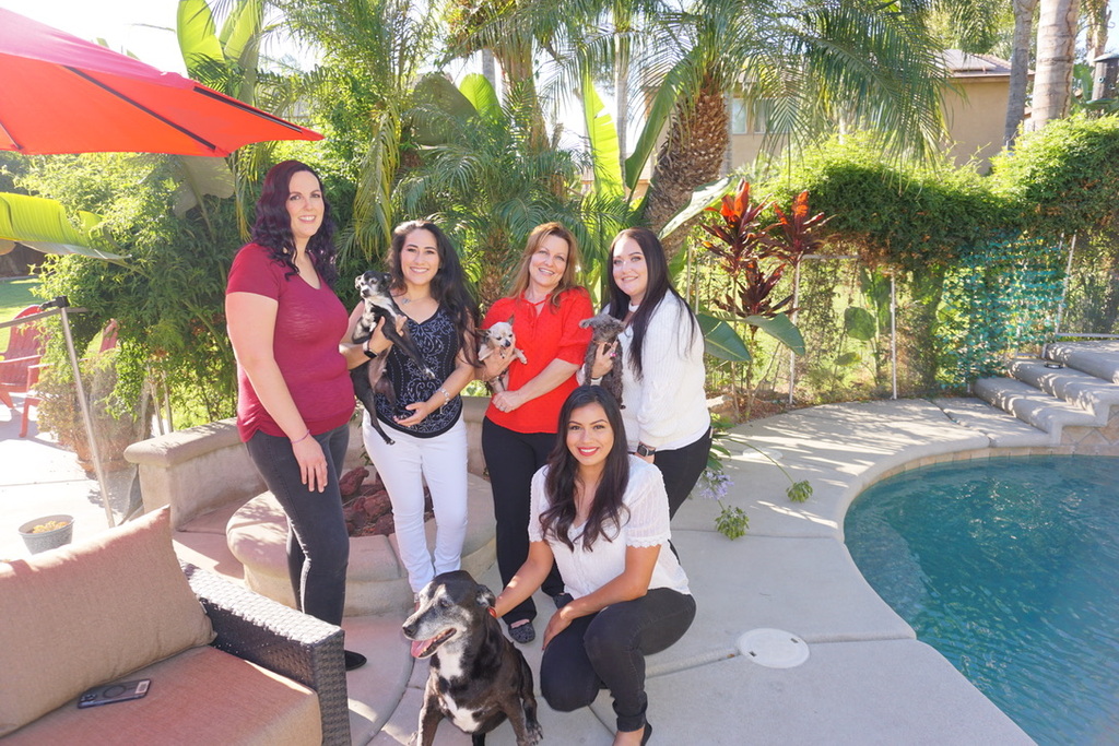 Company photo 9
