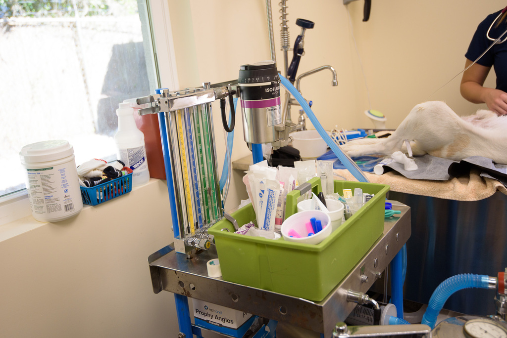 Anesthesia machine