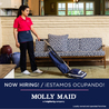 Molly Maid of Crystal Lake Elgin & Huntley