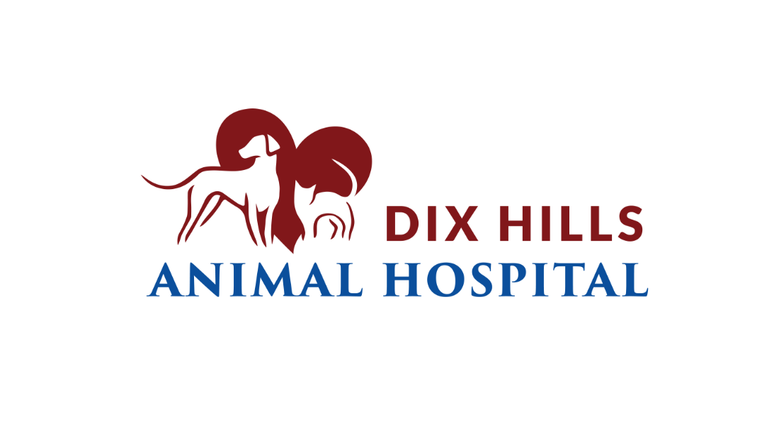 Dix Hills Animal Hospital