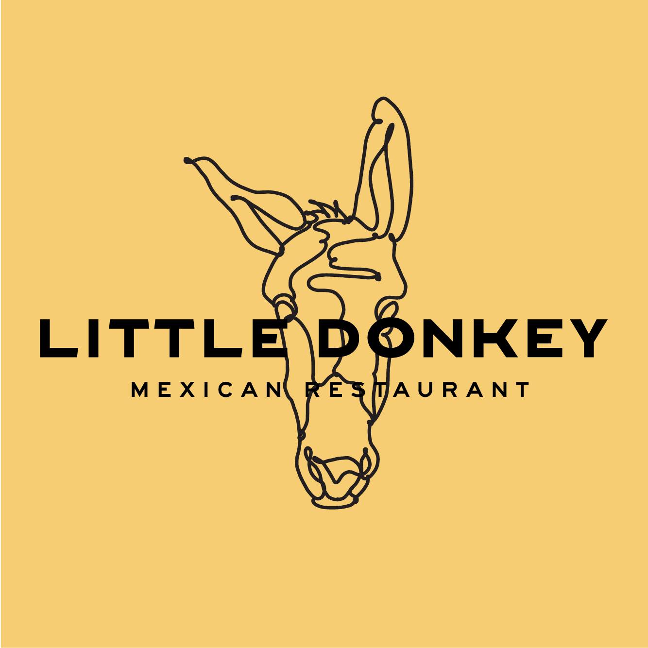 The Little Donkey