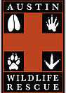 Austin Wildlife Rescue