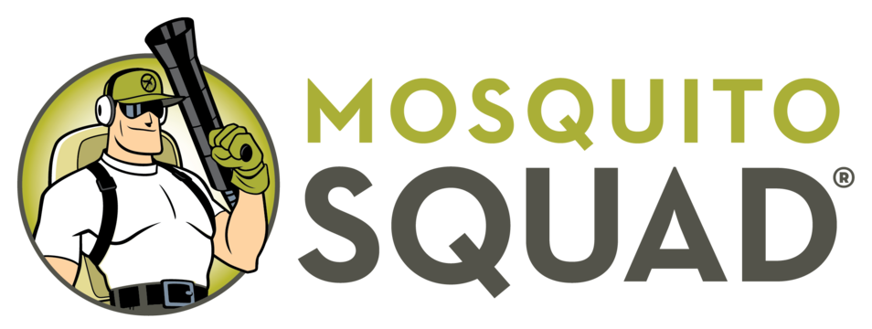 Mosquito Squad of The Triad