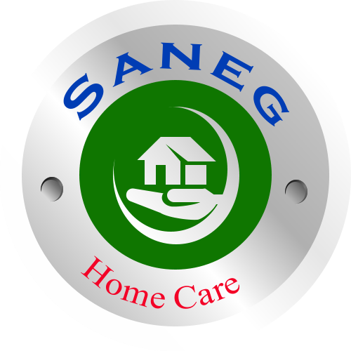 SANEG HOME CARE INC