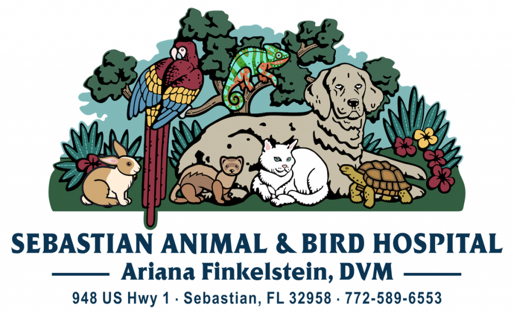 Sebastian Animal and Bird hospital