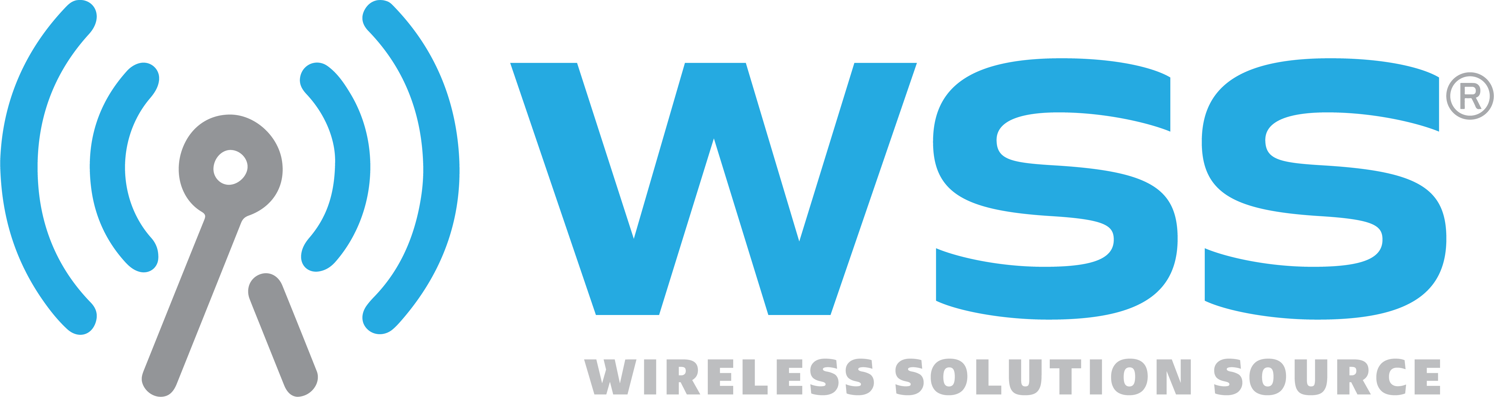 WIRELESS SOLUTION SOURCE INC