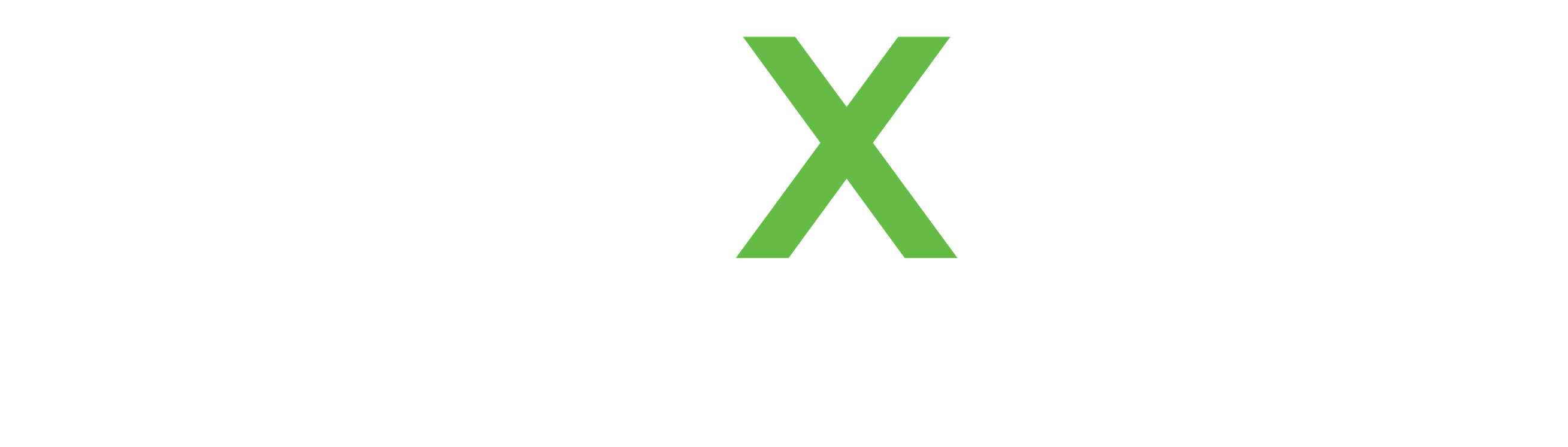 Funxion Whie Glove Service llc