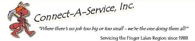 CONNECT-A-SERVICE INC