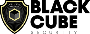 Black Cube Security