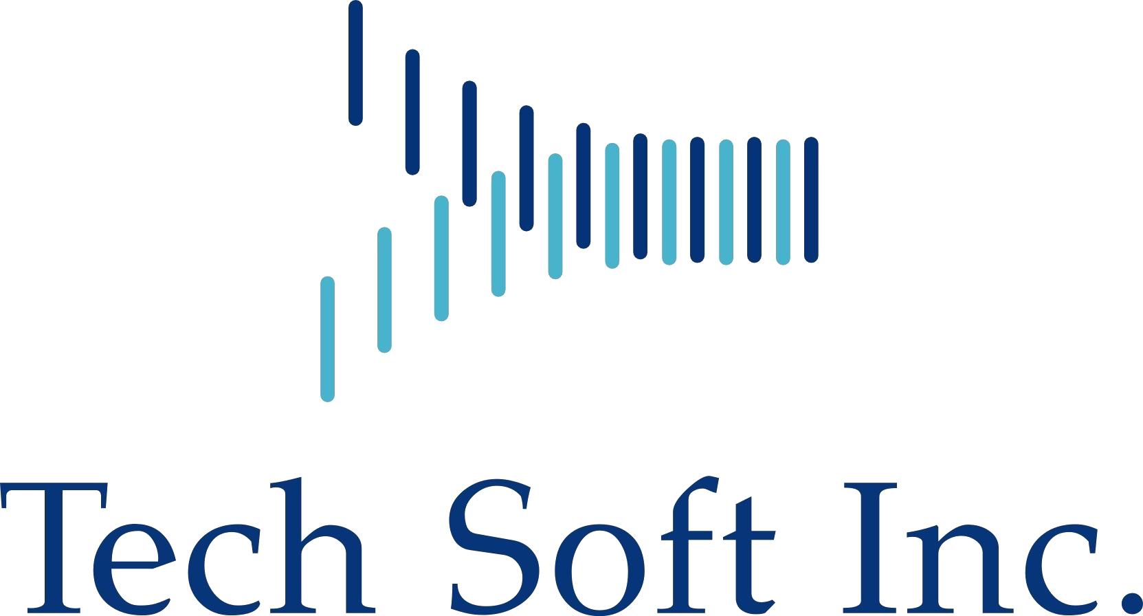 Tech Soft Inc