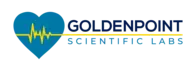 GOLDEN POINT SOLUTIONS LLC