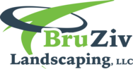 Bruziv Partners LLC