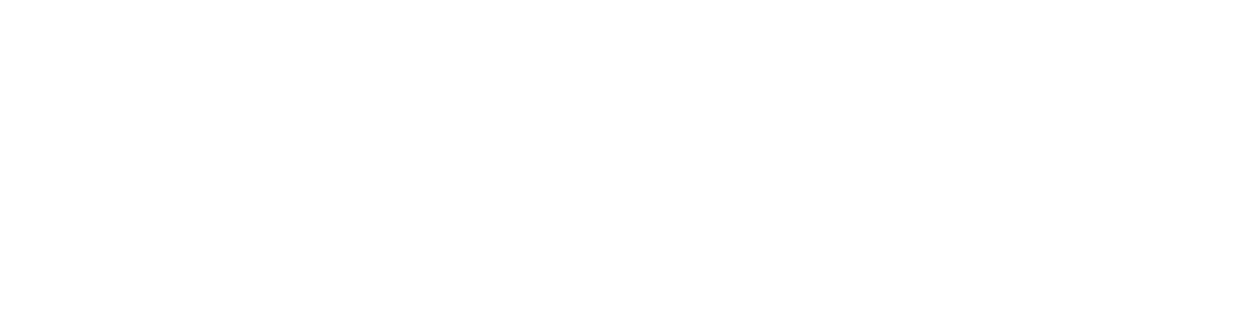 THE DUSABLE MUSEUM OF AFRICAN AMERI